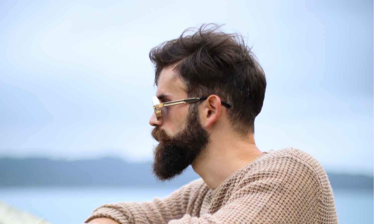 10 Best Beard Straighteners to Transform Your Look