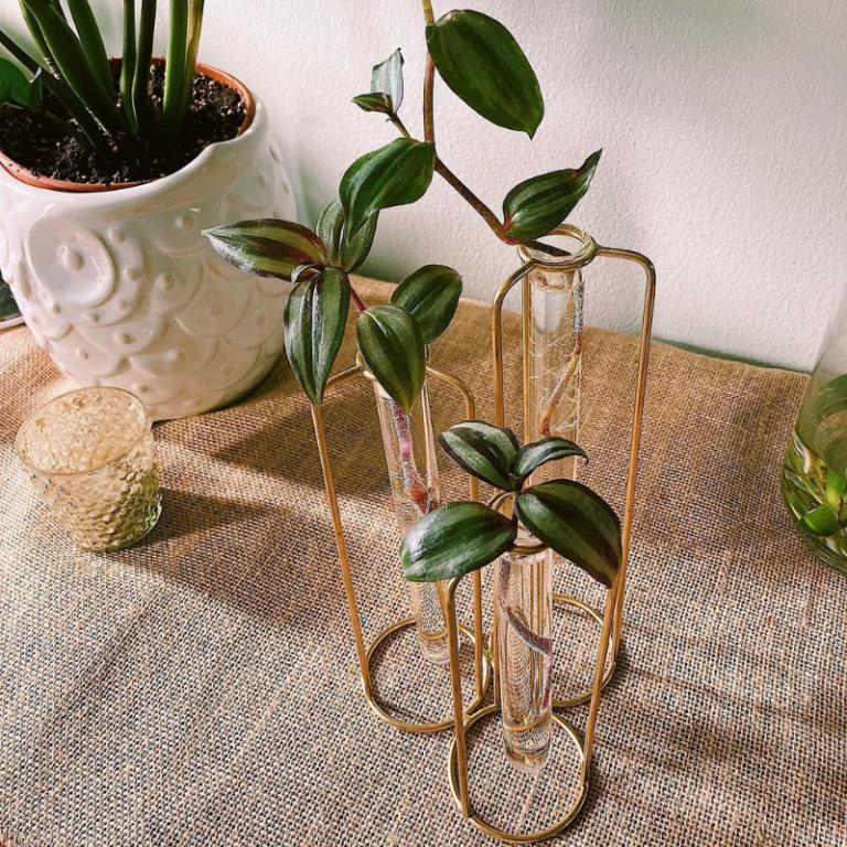 25 Stores Like Urban Outfitters (Home + More Alternatives)