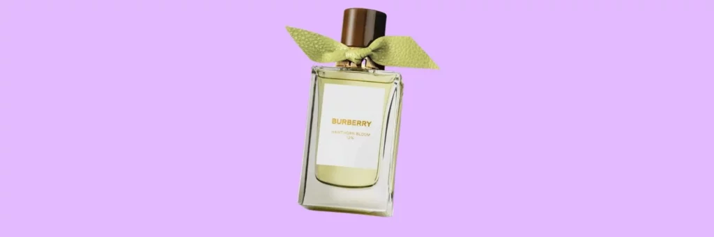 10 Best Burberry Perfumes of All Time | ClothedUp