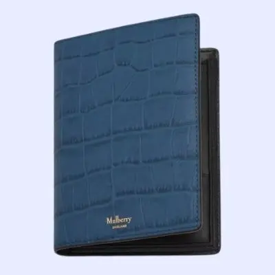 Mulberry Passport Wallet 