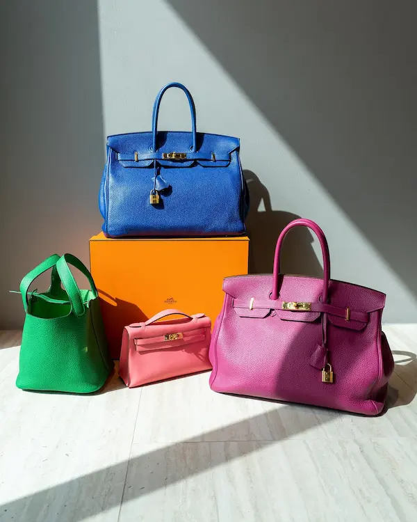 The Luxury Closet Bags