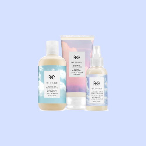 R+Co Hair Products Reviews: What’s the Hype?