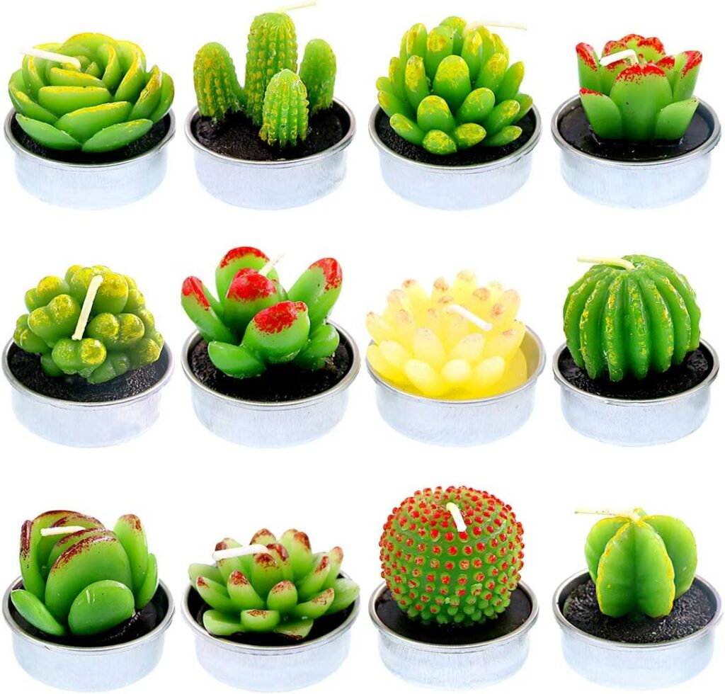 Succulent Tealight Candles