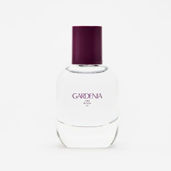 Gardenia